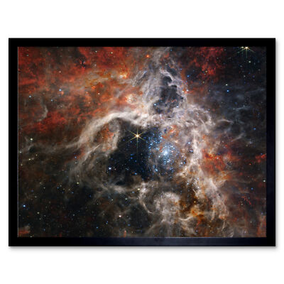 NIRCam Eine kosmische Tarantel 30 Doradus NGC 2070 Gerahmter Druck 30x40 cm