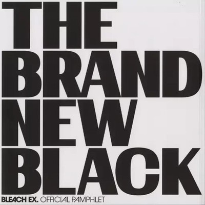 Bleach EX. 20th Anniv. Exhibition Official Pamphlet Art Book THE BRAND NEW BLACK