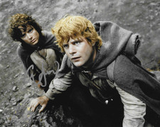 * ELIJAH WOOD * signed 8x10 photo * LORD OF THE RINGS * COA *