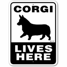 Corgi Lives Here / 9"W x12"H Aluminum Sign