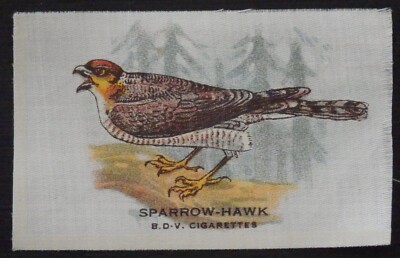 SPATZFALKE Vögel 1921 B D V Zigarette Seide RAR