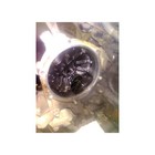 Foto 5 di 8