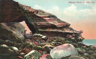 Alligator Head La Jolla California  c1910 Postcard