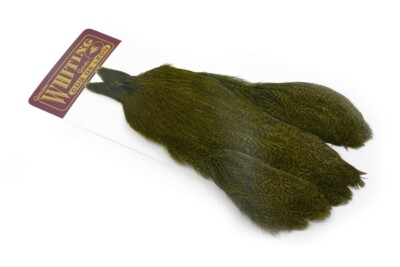 Whiting Coq de Leon Hühnerumhang * NEU 2026 LAGER * Hühnerumhänge zum Fliegenbinden