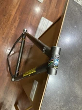 Custom 1994 Litespeed Ocoee, Based On A Stock 18” Frame.