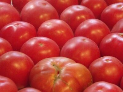 Pink Brandywine Heirloom Tomato Seeds 75 2019 seeds $1.69 Max Shipping