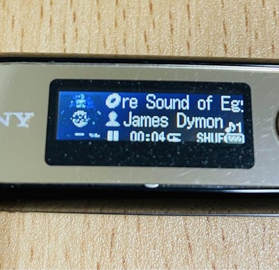 Sony Walkman Nw-E044 8Gb Digital Music Player | eBay