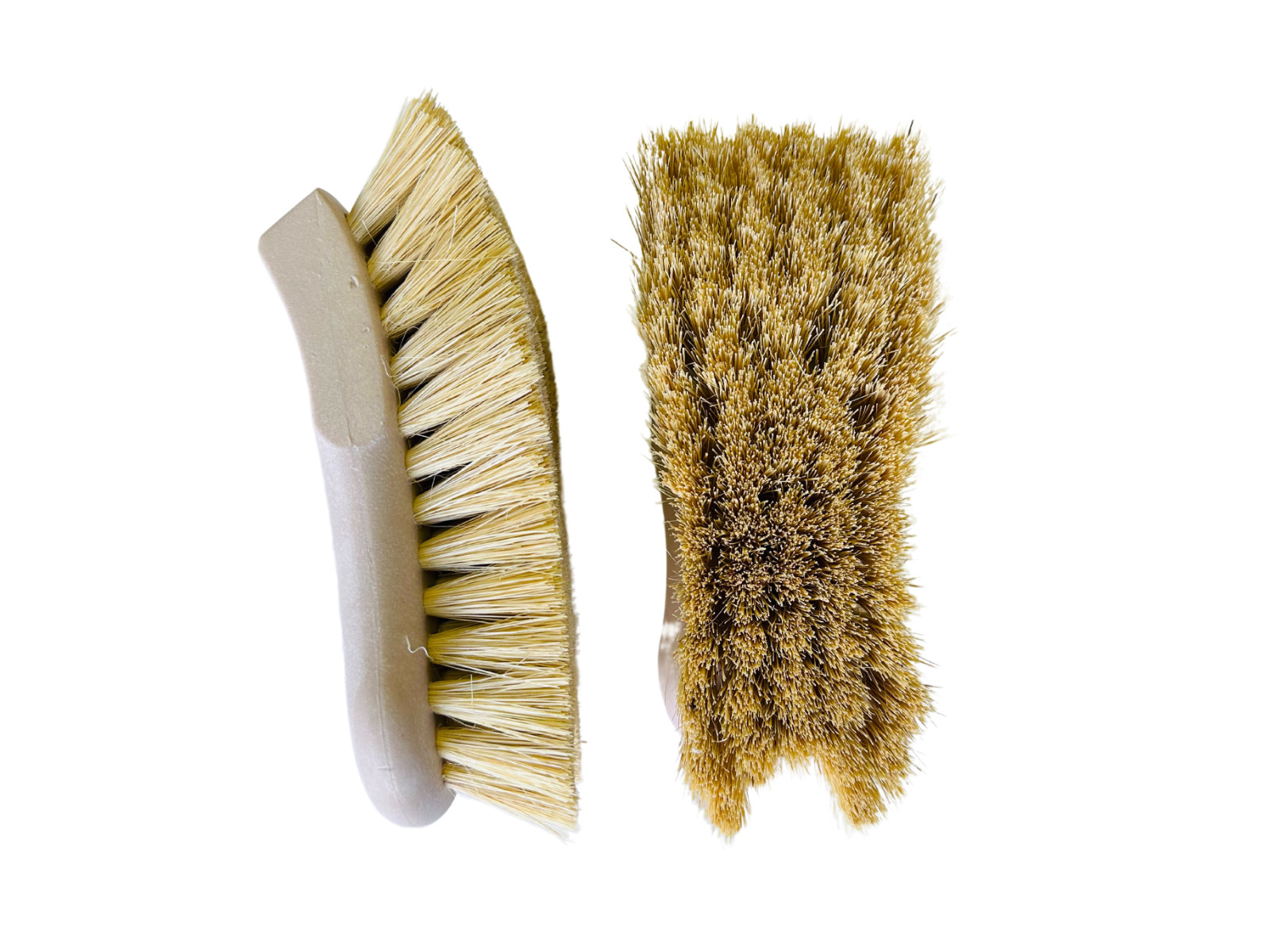 Magnolia Brush - Multi-Purpose Scrub & Upholstery Brush - Tampico  - Case (12)