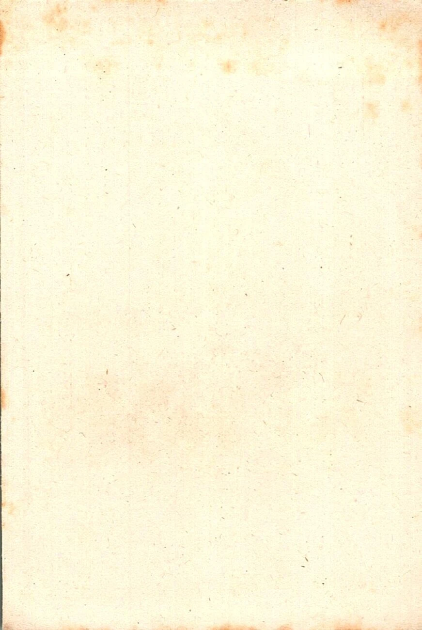 Foto 2 di 2