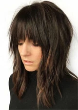 Long Straight Hairstyle Shag With Bangs Synthetic Hair Wowmen Wig 16 Inches New