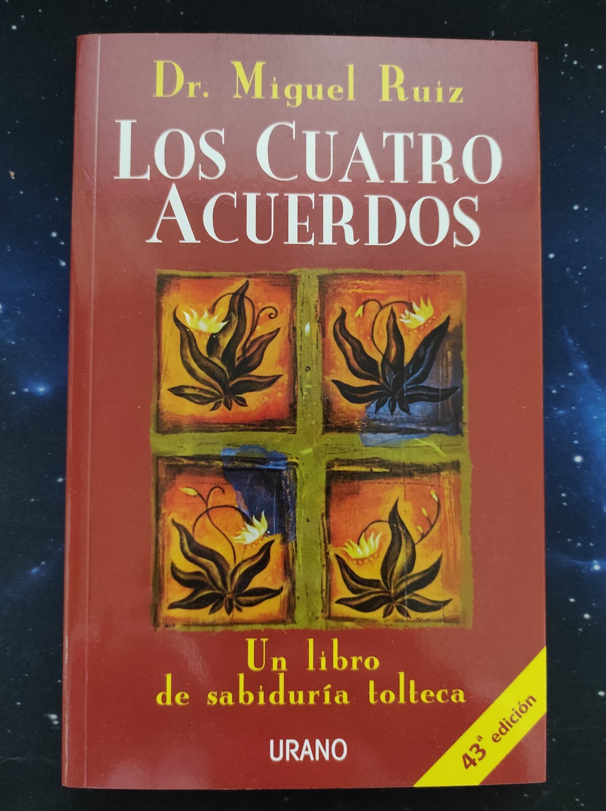 Imagen 2 de 6