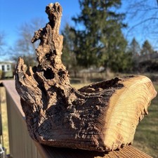 Dark Brown Driftwood Stump 12x8x11   Textured Grain Sculptural Wood Aquarium