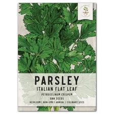 Italian Flat Leaf Parsley Seeds For Planting (Petroselinum crispum)