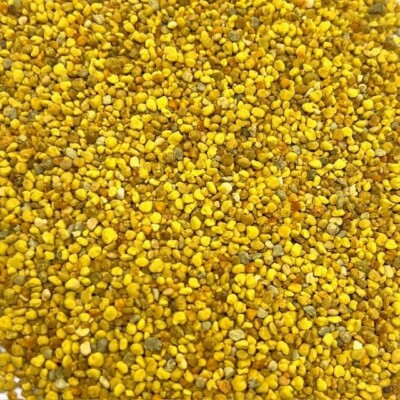 Bee Pollen Granules BULK HERBS 1 lb (16 oz)