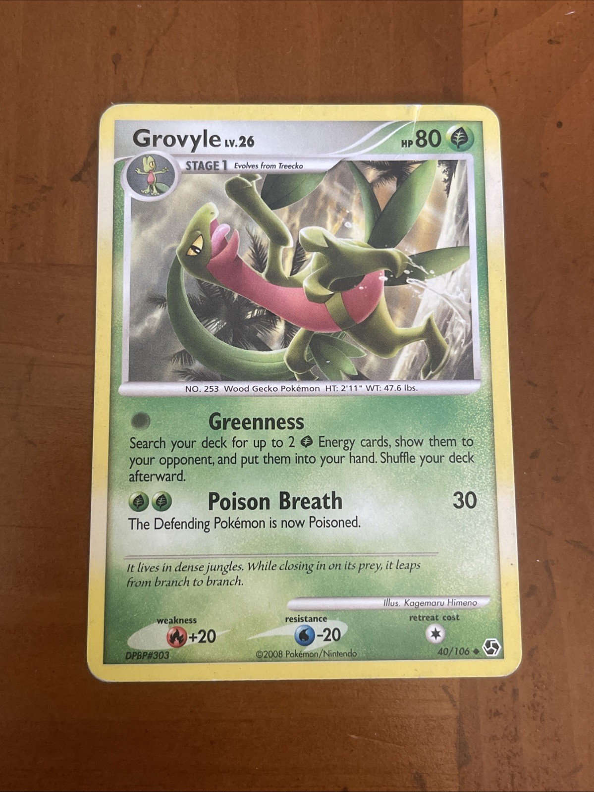 Pokemon Great Encounters - Grovyle Card 40/106