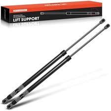 Liftgate Rear Hatch Lift Supports Shocks Struts Compatible with Nissan Models