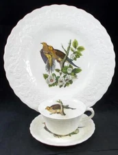 Alfred Meakin Birds of America Dinner Plate and Cup & Saucer #17 Turtle Dove