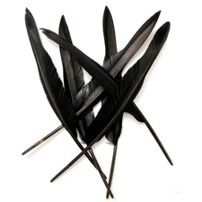 30PCS Black Long Feathers 10-12inBig Size Bilateral Natural Goose FeatherBulk...
