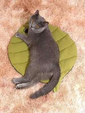 Dual Color Leaf Shaped Cat Bed Washable Pet Bed For Small & Medium Size Cat Dogs