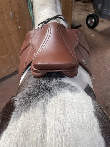 Ponysattel Springen, braun, 15er Sitzfläche - Bild 4 von 6
