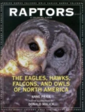 Raptors: The Eagles, Hawks, Falcons, and Owls of North America by Price, Anne