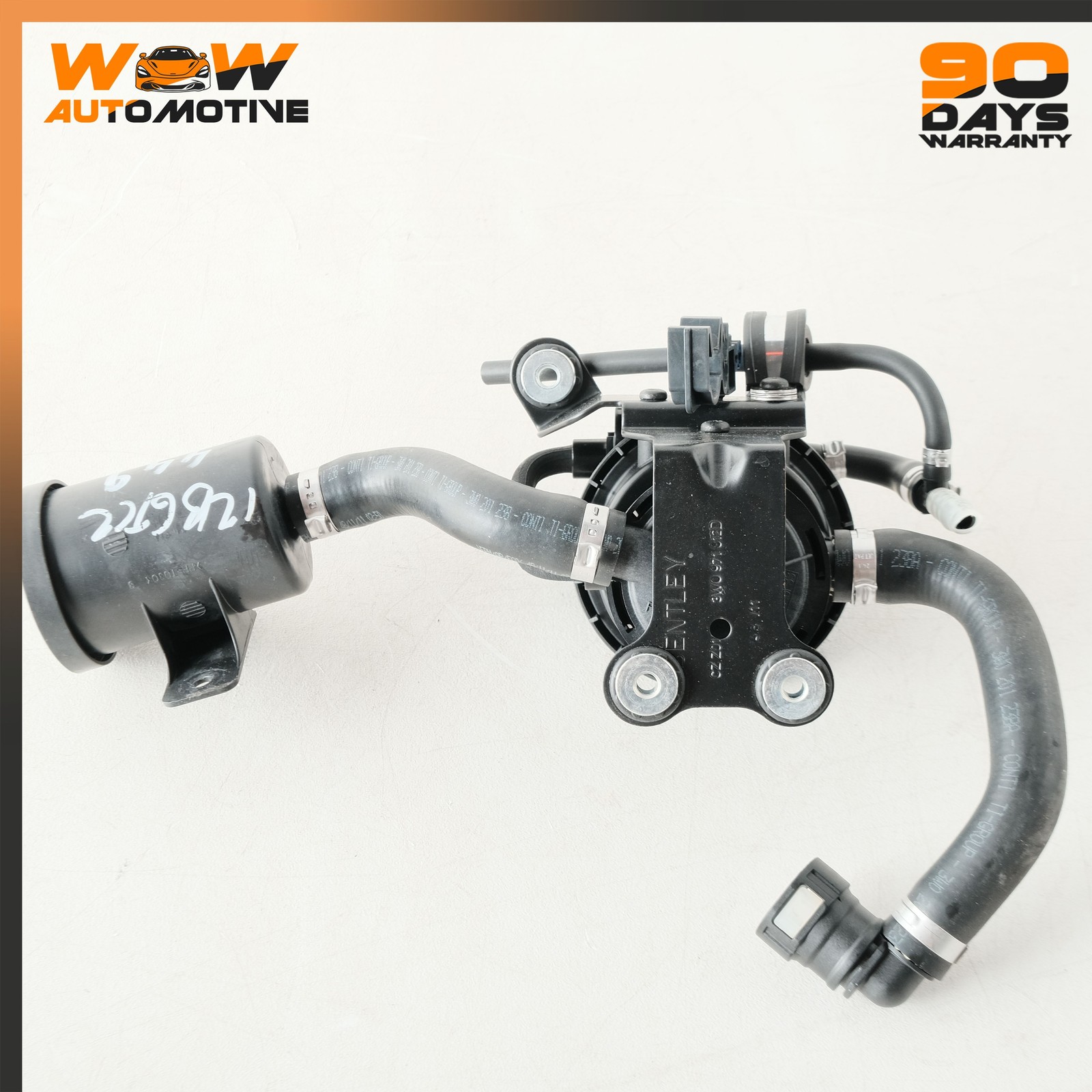 Bentley Continental GT 2004-2017 REAR Leak detection pump