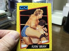 WCW WORLD CHAMPIONSHIP WRESTLING  1991 TRADING CARD #  57 FLYIN’BRIAN