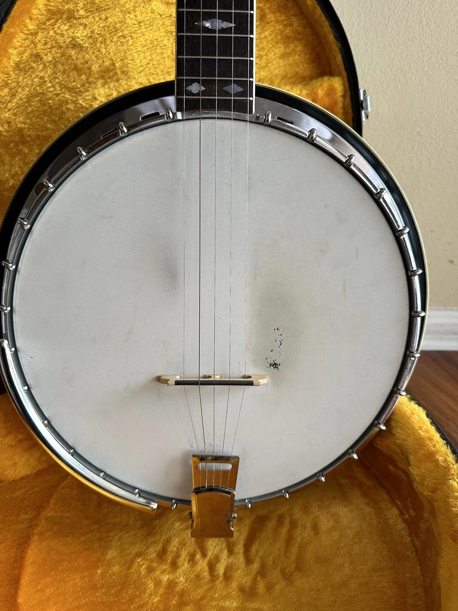 Alvarez silver princess banjo deals
