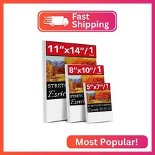 3 Pack Canvases for Painting with Multi Pack 11x14, 5x7, 8x10, Painting Canvas f