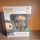 Funko Pop! Harry Potter Rubeus Hagrid #164 Barnes & Noble Exclusive Vinyl Figure