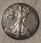 2014 American Silver Eagle Standing Liberty with toning