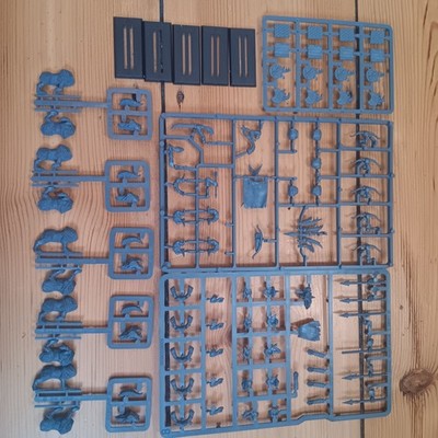 Warhammer x5 Goblin Wolf Boyz Wolfsreiter auf Anguss