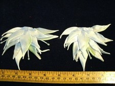 Vintage Millinery Flower Velvet Pad Lot of2 IK4 Lt Blue