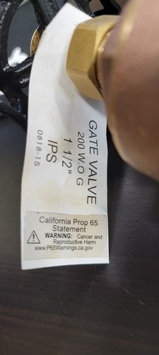 0818 SERIES BRASS FULL PORT GATE VALVE (THREADED) - 1 1/2 brass gate valve - Picture 5 of 5