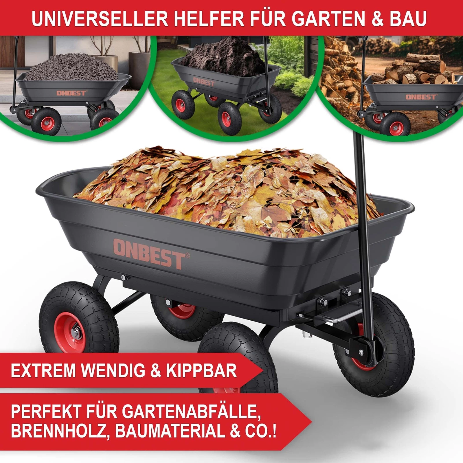 Bild 9 von 12
