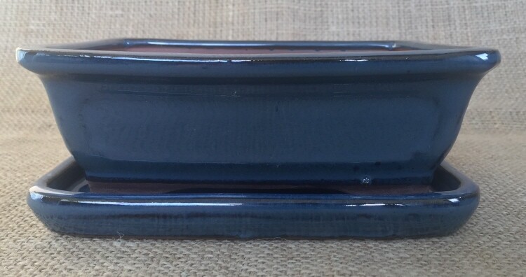 Ceramic Bonsai Pot With Matching Tray | Medium Or Large | Mixed Designs Available