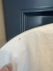 Foto 5 di 7