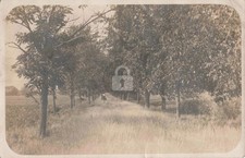 Railroad Old Bed Coldwater & Mackinaw RR, Gratiot Co. MI RPPC Postcard COPY