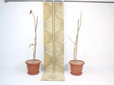 1.7 x 7.2 Ft Vintage Turkish Beige Brown Runner Rug – Handmade Wool Hallway