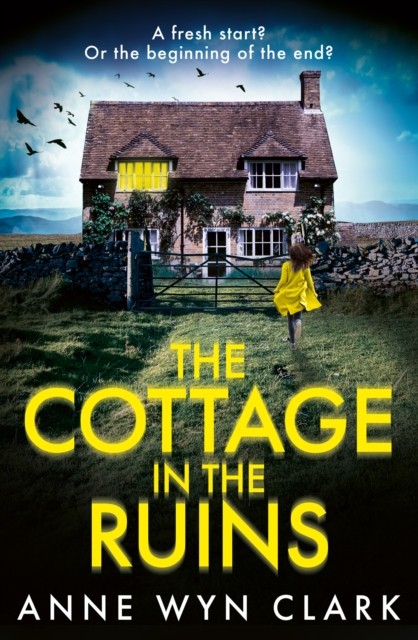 The Cottage in the Ruins by Anne Wyn Clark (Paperback Book)