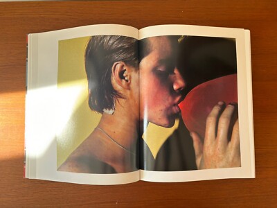 Walter Pfeiffer In Love With Beauty Very Rare Photography Book Gay