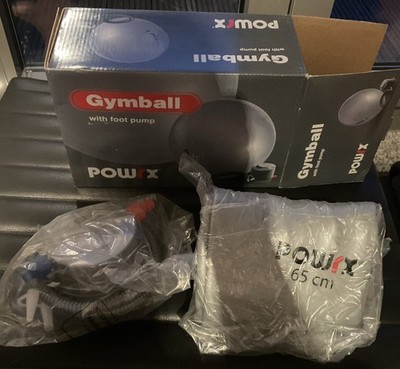 Powrx GymBall Silber Gymnastik  Ball 65 cm mit Pumpe PX-W2601/A/P-65