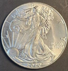2020 Silver American Eagle Coin Brilliant Uncirculated