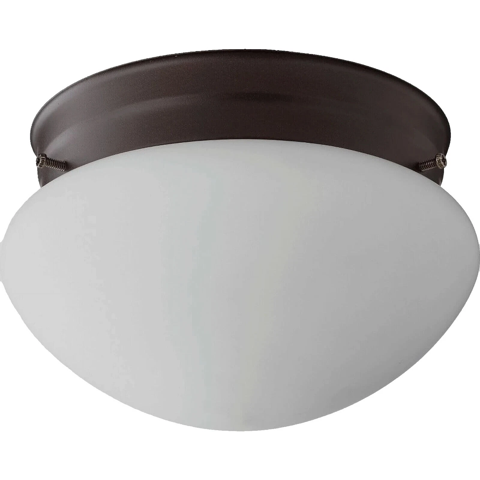 棕色嵌入传统吊灯和天花板装置