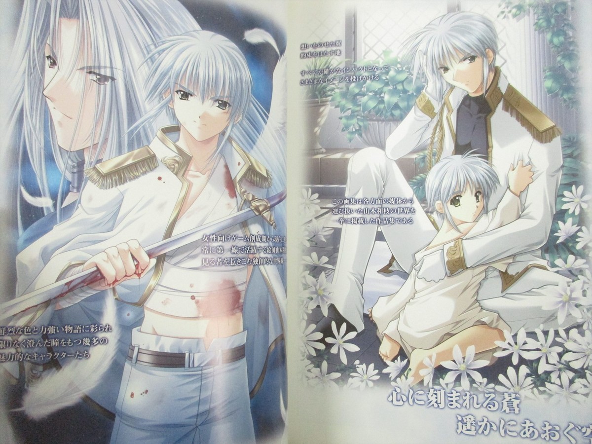 KAZUE YAMAMOTO Gashu AOZORA Art Illustration Book EB99* | eBay