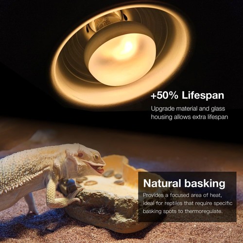 Reptile Heat Lamp 2-Pack 75W Day and Night Basking Bulb Light for Reptiles - 第 3/6 張圖片