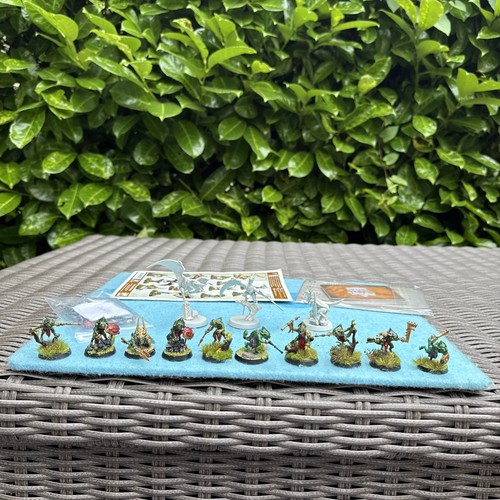 10 Hunters of Huanchi + 3 terrawing + cards Warhammer warcry Seraphon Painted - Picture 2 of 23