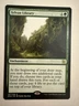 MTG: Sylvan Library Card Regular Eternal Masters  187/249