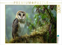 Calvendo Puzzle Seltene Rotfuß-Eule Im Regenwald | 1000 Teile Lege-GrößE 64 × 48