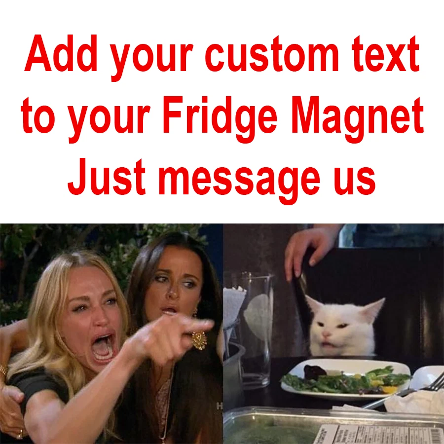 Behind The Meme Woman Yelling At Cat [Meme Explained]